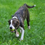 DSC_1831.JPG