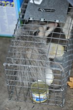 DSC_1849.jpg