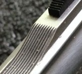 serrations.jpg