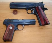 Colt 3.jpg