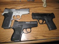 3913 CS9 Shield.jpg