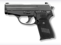 sig239.JPG