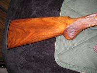 IMG_2395.jpg