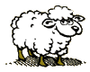animated-sheep-image-0006.gif