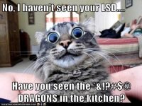 CatLSD.jpg