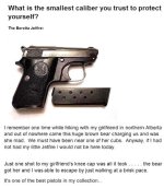 funny-small-weapon-story-bear.jpg