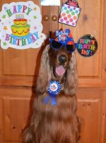 happy birthday.jpg
