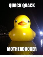 funny-big-massive-rubber-duck-river-water-quack-motherducker-pics.jpg