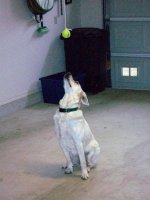 100_8166.jpg