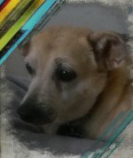uploadfromtaptalk1417676436582.jpg
