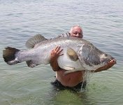 big-fish.jpg