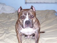 100_0017.jpg