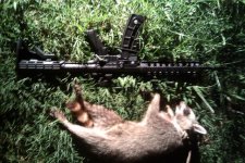 coon with gun.jpg