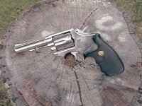 stumpgun.JPG