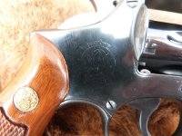 P1160599 reduced.jpg