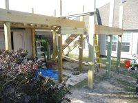 TREE HOUSE 005.jpg