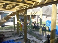 TREE HOUSE 008.jpg