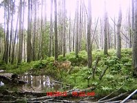 MDGC0056.jpg
