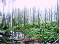 MDGC0058.jpg