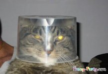 funny-tupperware-party-04.jpg