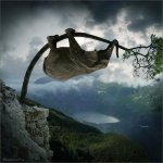 Funny++Elephants+7.jpg