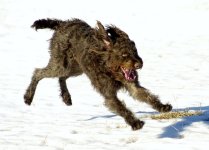 _D2H0043 - Copy.jpg