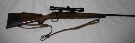 Frankenrifle.jpg
