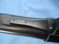 IMG_1096.JPG