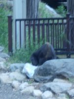 DSCN2830.jpg