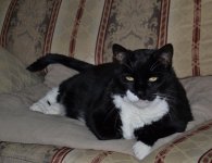 Jake-126.JPG