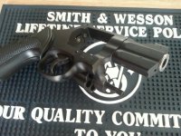 Smith and Wesson 315 #2.jpg
