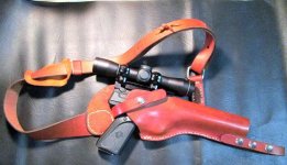 Browning in Holster.jpg