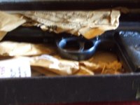 pedroceli&webley 012.JPG