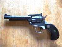 Ruger8.JPG