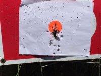 IMG_0337.jpg