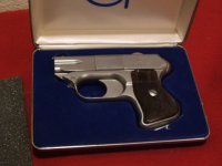 cop pistol 002.JPG