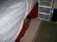 100_0722.jpg