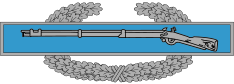 234px-Combat_Infantry_Badge_svg.png