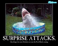 poolshark.jpg