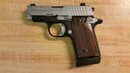 Sig  P238.jpg