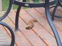 IMG_084819.jpg