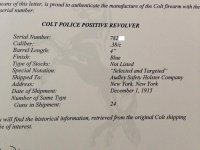 PPNYPD1.jpg