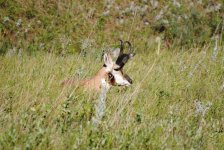 DSC_0202.jpg