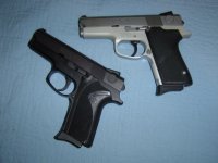 S&W 3953 and 3954.JPG