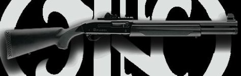 slp_large.jpg