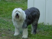 Sebastian-17 (Small).JPG