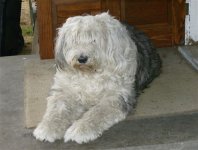 jane's pics 002 (Small).jpg