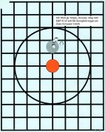 M&P-10_100yds_.jpg