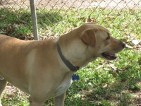 charley 2012-3.jpg