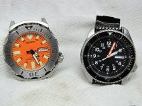 IMG_4513_sm.JPG